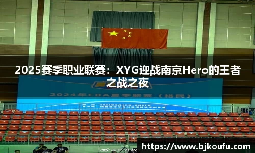 2025赛季职业联赛:XYG迎战南京Hero的王者之战之夜